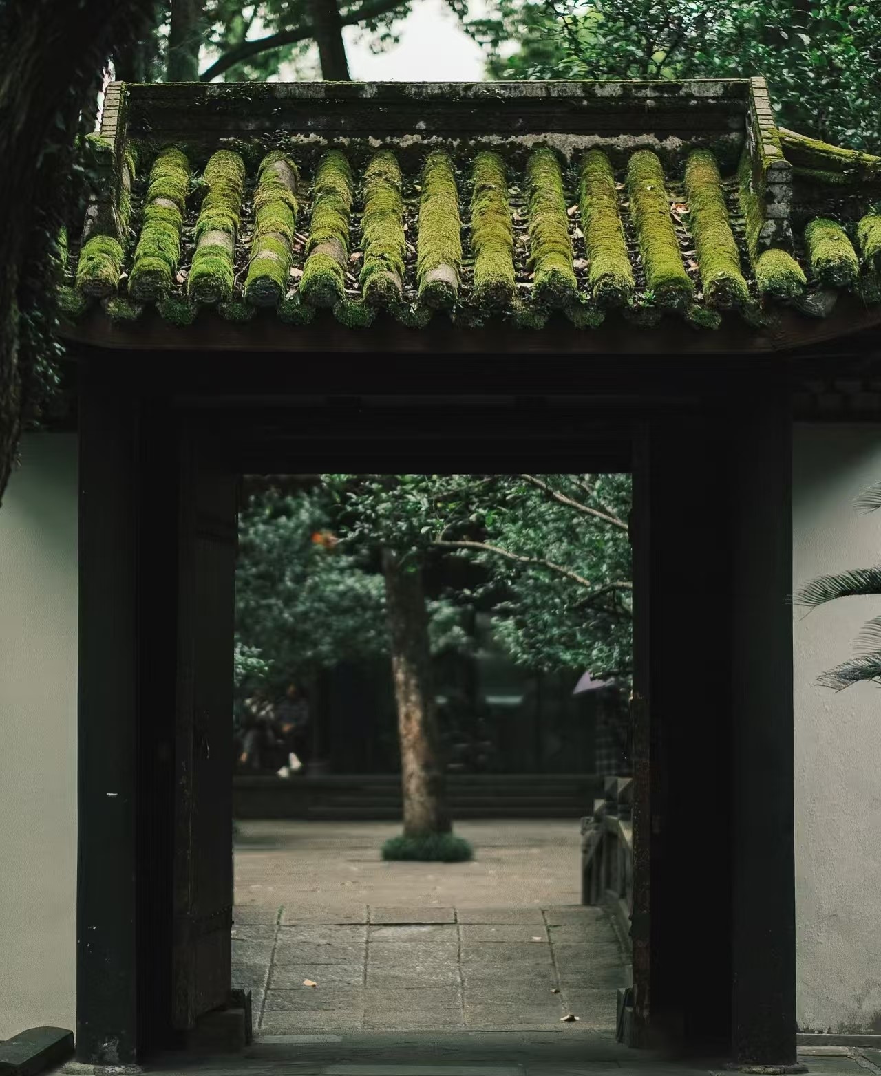 chengdu