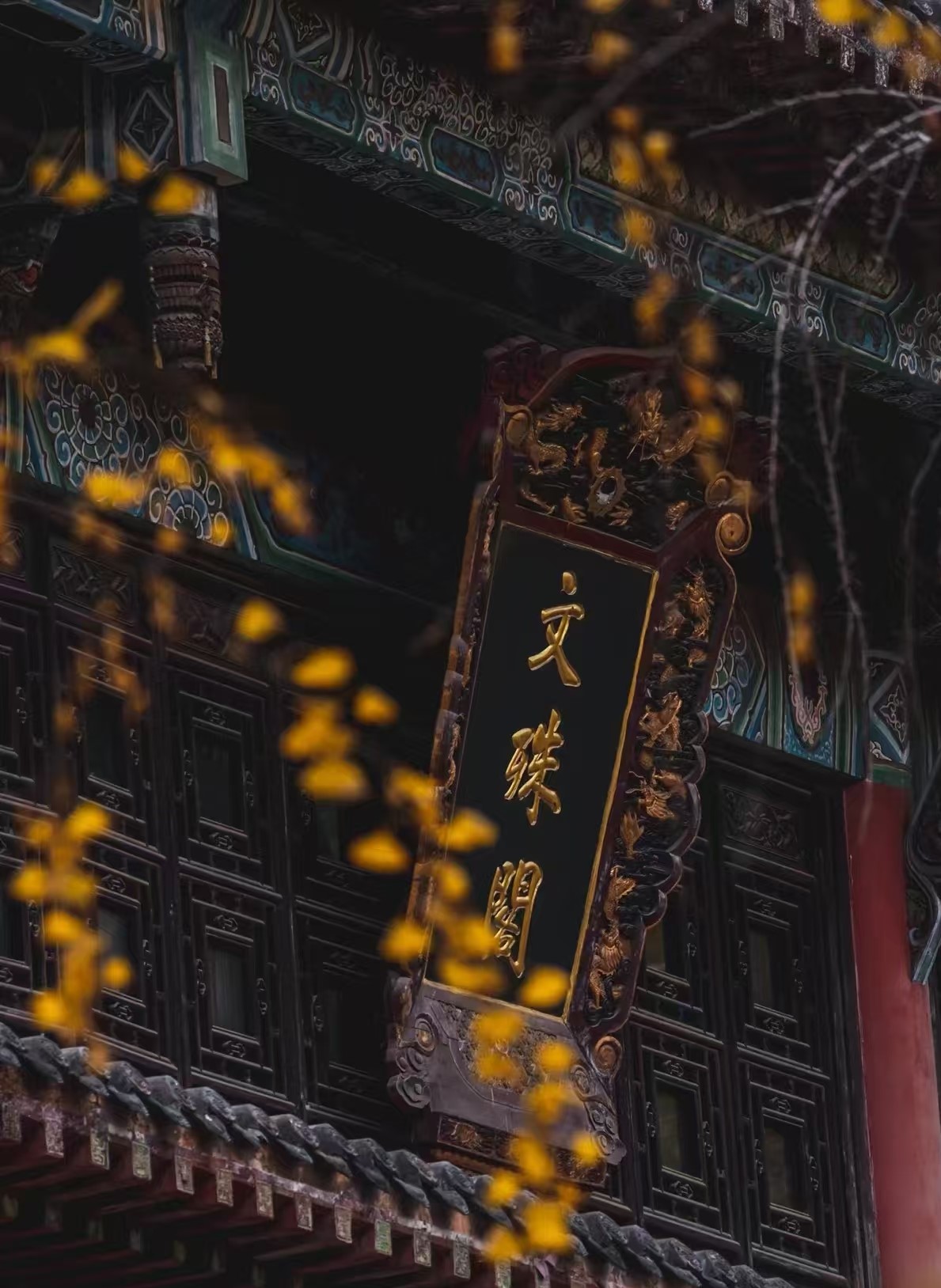 微信图片_20250219114301