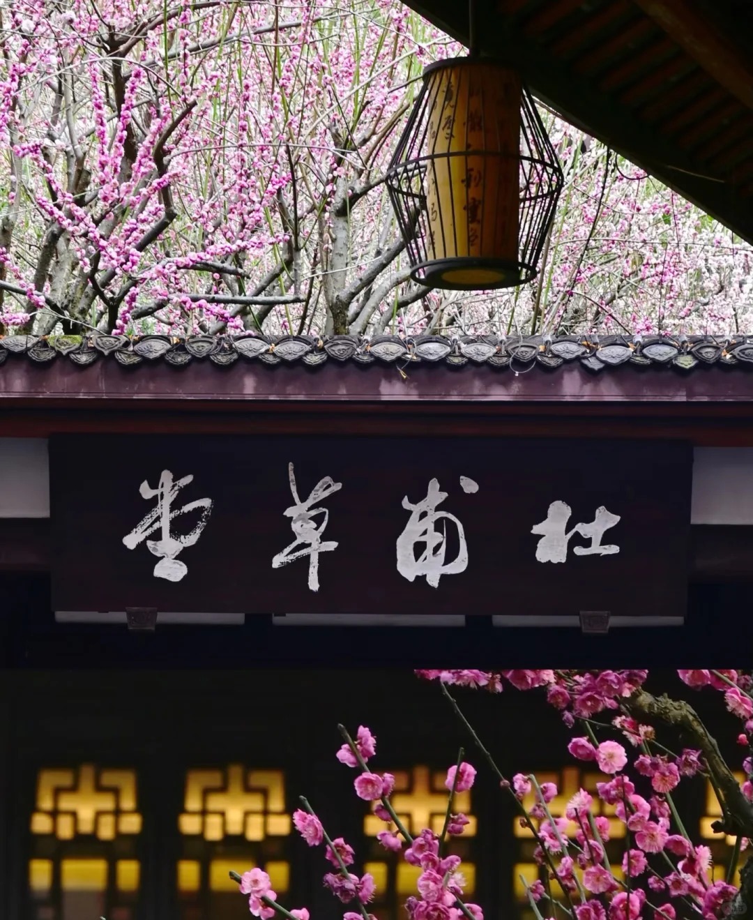 浣花溪畔的诗意 杜甫草堂_1_安迪日记_来自小红书网页版