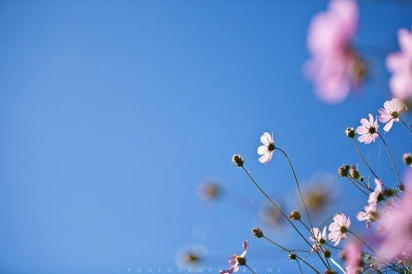 0101t12000832bjl3791F_R_800_10000_Q90