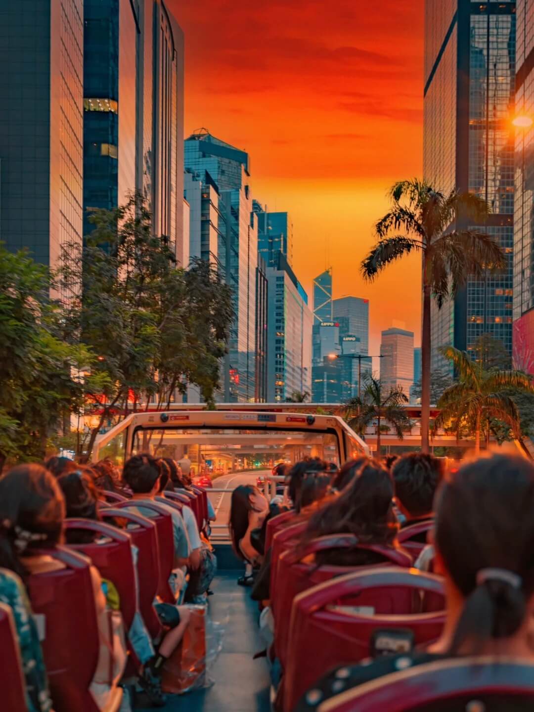 来香港只办一件事❗️坐一趟浪漫的落日飞车_1_余先森Jackson_来自小红书网页版