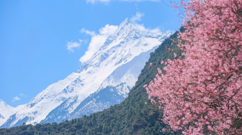 【ตัวรับเชิญฤดูใบไม้ผลิ】GUIDE ท่องเที่ยวทิพย์สยาม 13 วัน: ภูเขาทรายเลือดและสวนนางมงกุฎดอกไม้ดอกสีชมพูแห่งอาณาจักรที่ราบสูงที่มีหิมะ