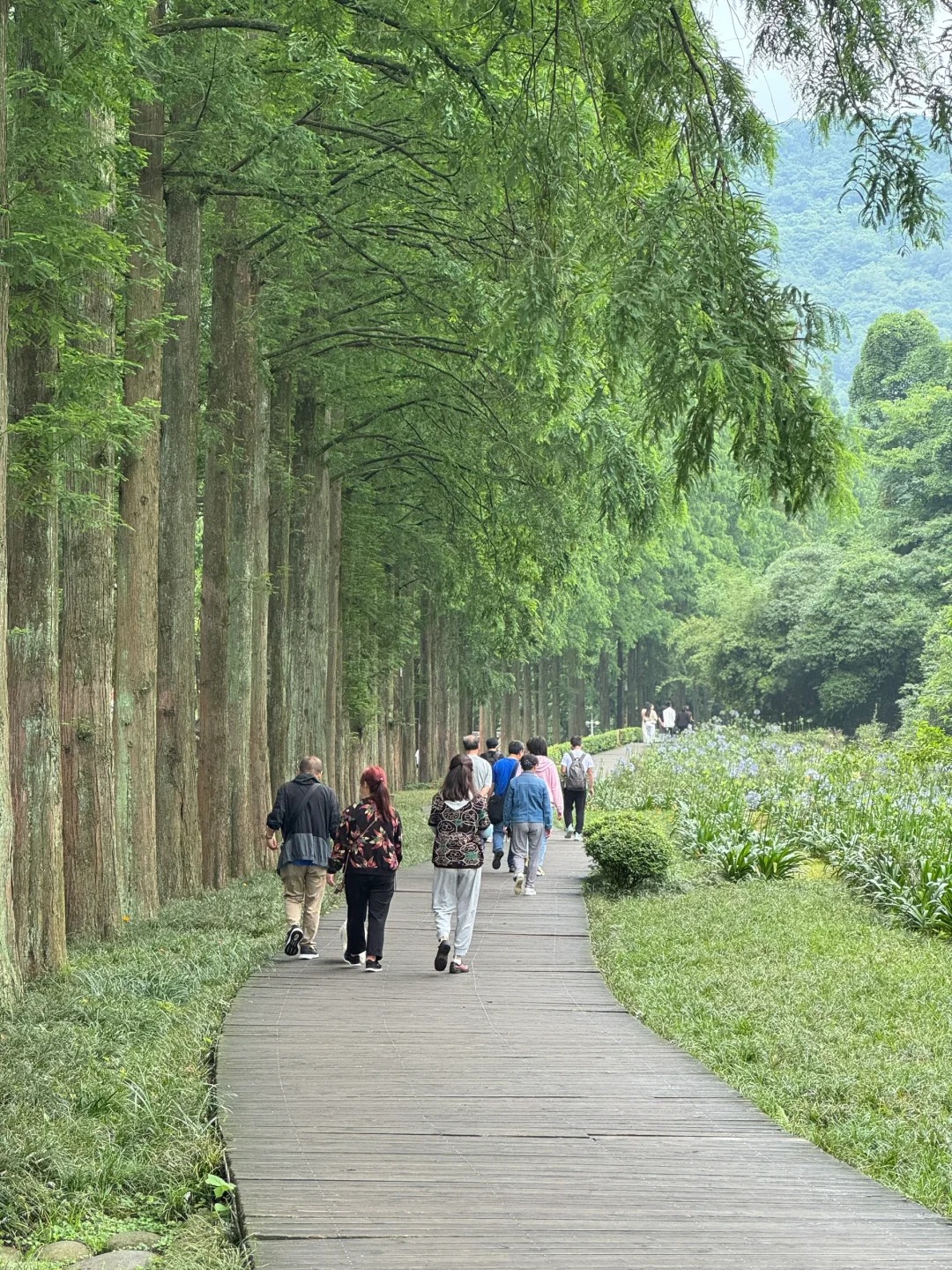 青城山的步道真的很适合懒人轻徒步_1_🍀唐不甜%_来自小红书网页版