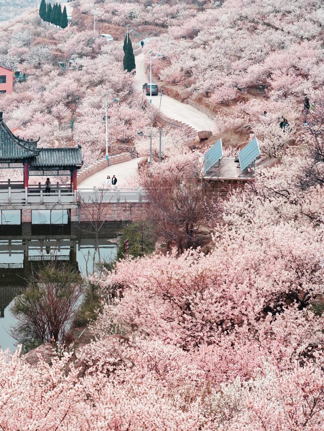 接下来的青岛，面朝大海，春暖花开……_1_青岛小日子研究所_来自小红书网页版