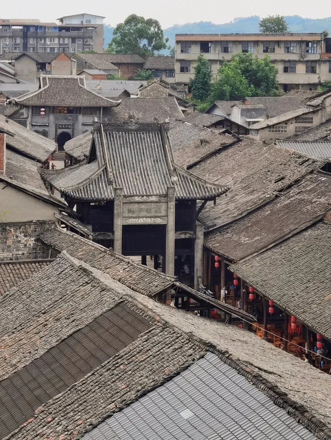 _7_享受世界的李子_来自小红书网页版