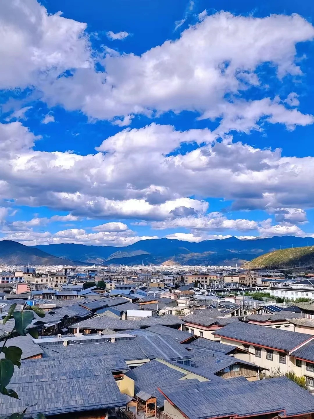香格里拉一日游 精品纯玩线路 极速打卡228_3_PandaI旅游_来自小红书网页版