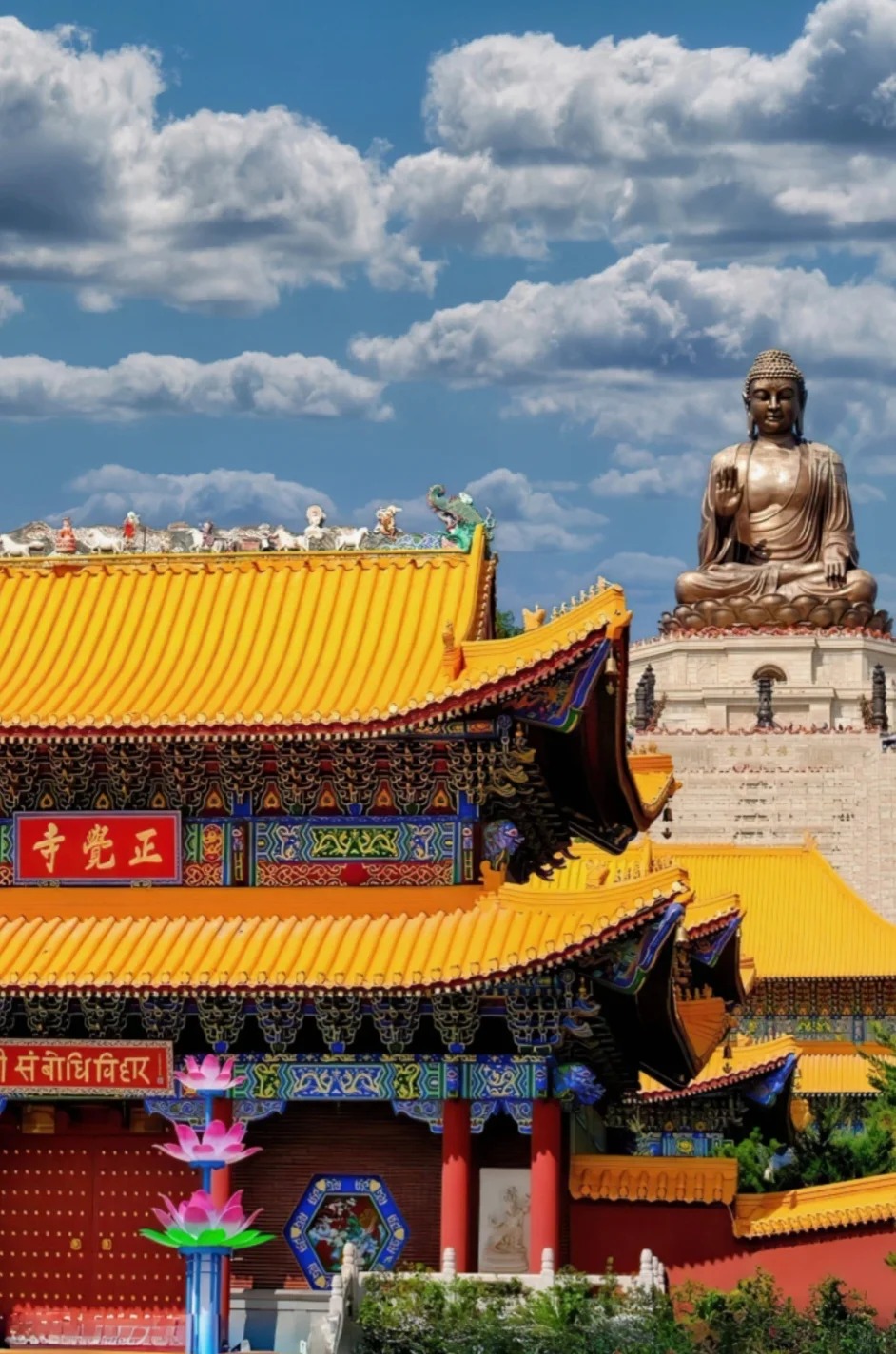 【此生必打卡！敦化金鼎大佛全攻略】_3_吉祥六鼎山_来自小红书网页版