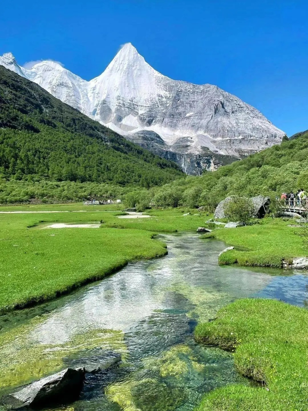 Daocheng Yading Nature Reserve: การผจญภัยสุดยอดบนที่ราบสูงสำหรับนักท่องเที่ยวชาวไทย