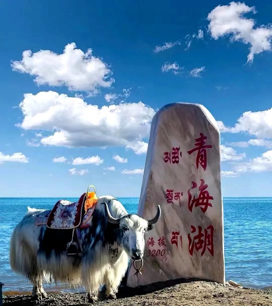 青海湖 高原上的壮丽画卷_2_安迪日记_来自小红书网页版