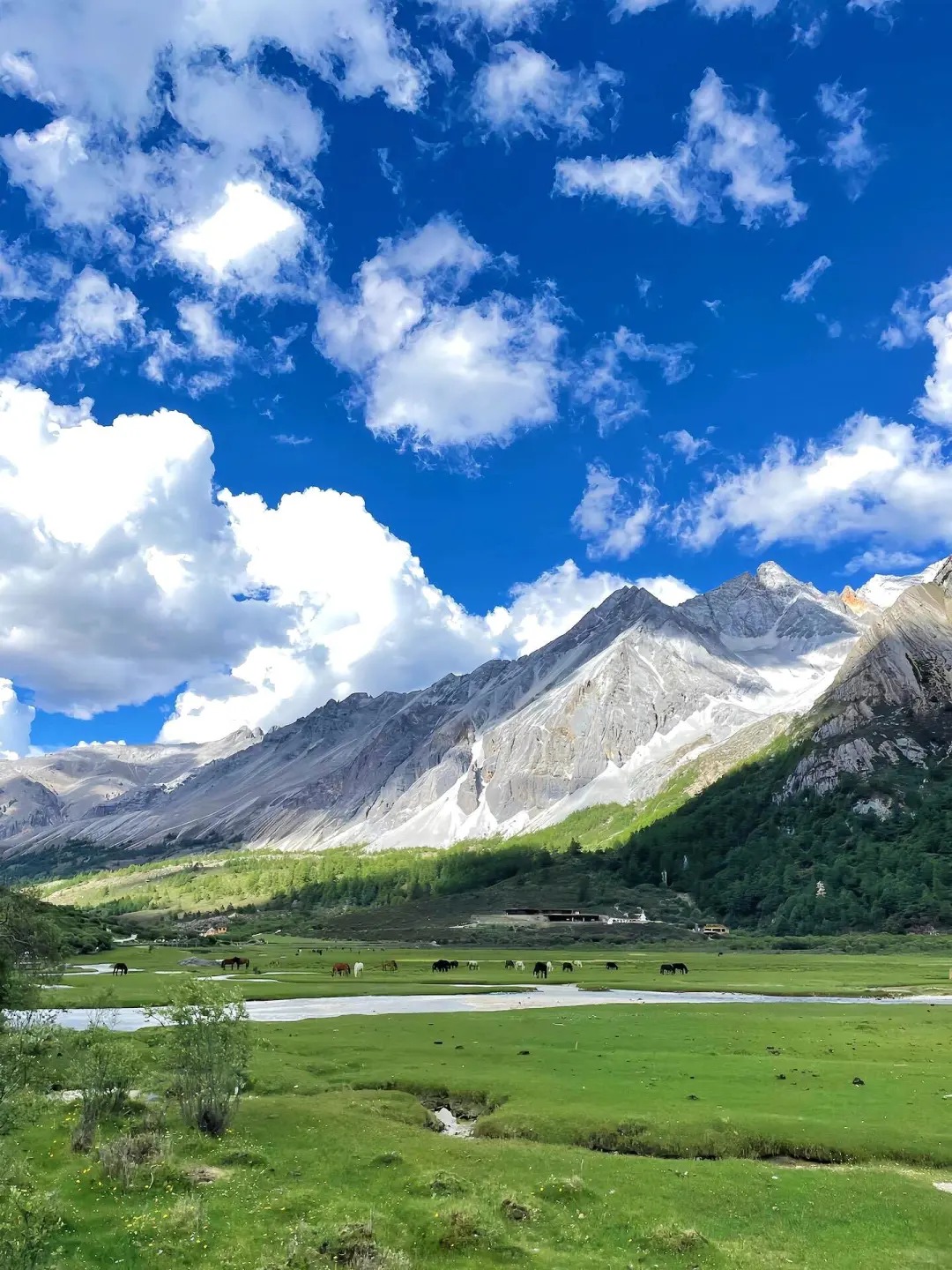稻城亚丁｜从你的全世界路过｜旅游攻略_6_badala_来自小红书网页版