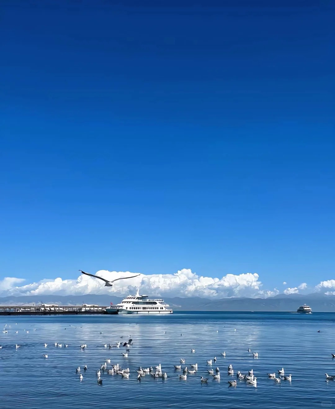 青海湖 高原上的壮丽画卷_8_安迪日记_来自小红书网页版