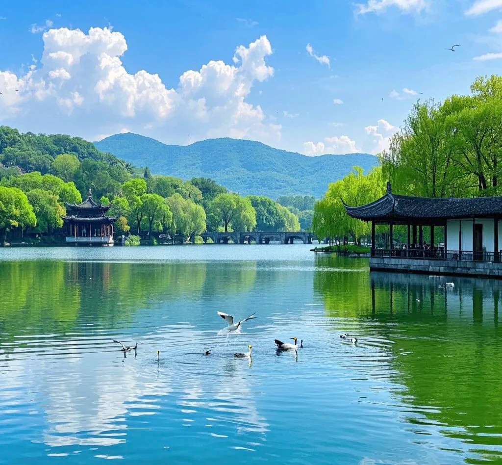西湖风光_2_ENEN旅途风景_来自小红书网页版