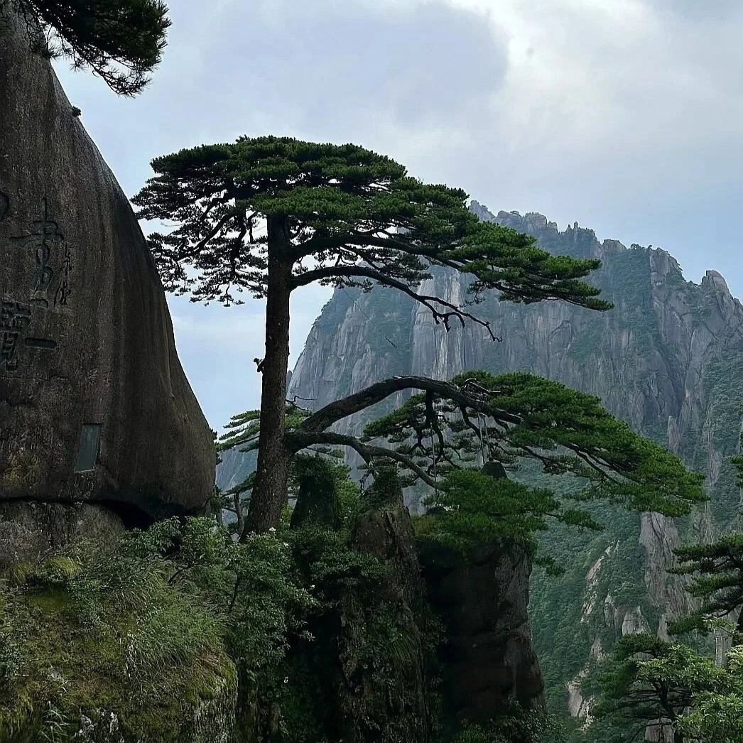 今年五一我只带娃去一个地方：徽州！🤩_15_飞凡妈妈旅行记_来自小红书网页版