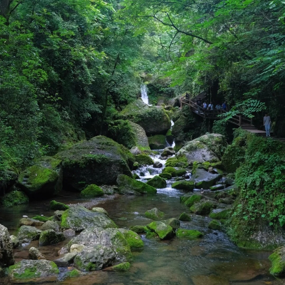 成都1h_听劝！跟我这样爬青城后山更轻松！_9_探玩成都👭_来自小红书网页版