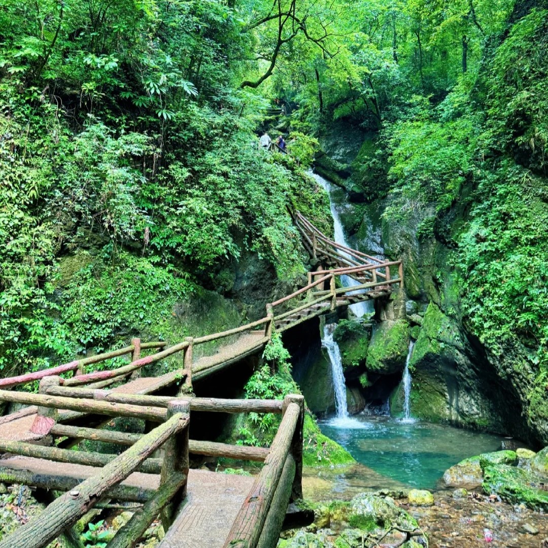 Qingchengshan: ดินแดนแอร์ธรรมชาติแห่งฤดูร้อนของจีน 