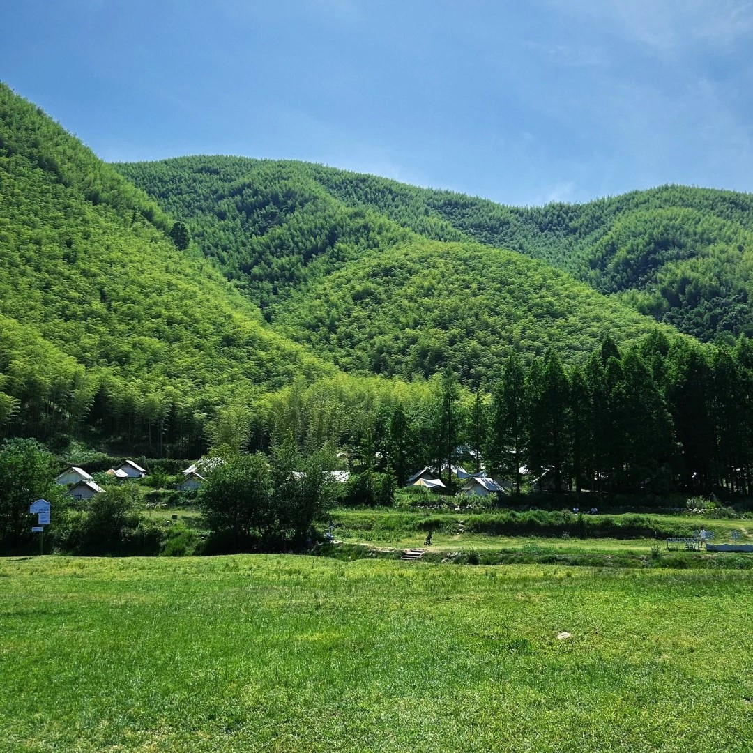 从安吉度假归来🌲……_2_男仔儿在苏州🎀_来自小红书网页版