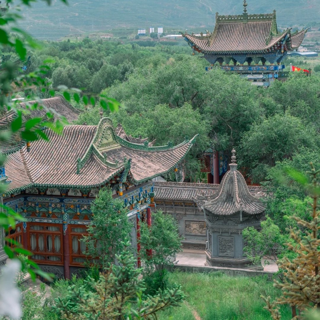 夏天最凉快的城市，下次还来西宁❗_8_杂念铺老板_来自小红书网页版