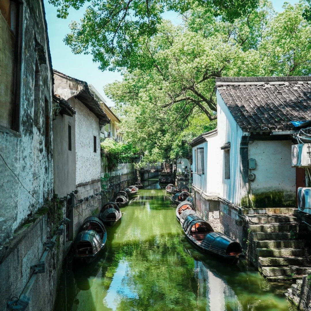 今年为止，我最喜欢的旅游城市出现了🌳_8_蓝精灵_来自小红书网页版