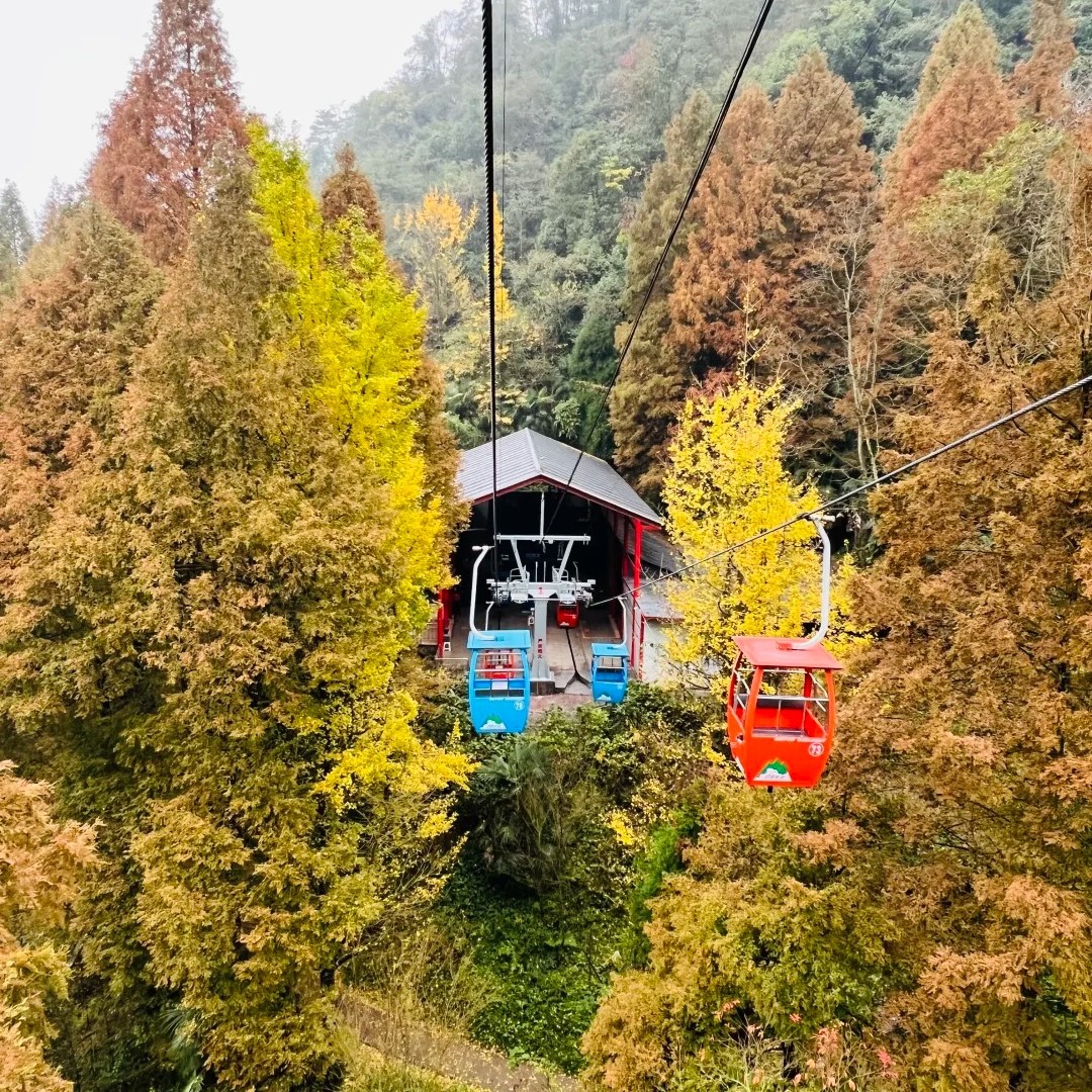 青城天下幽 青城山后山名不虚传_1_亮晶晶小C_来自小红书网页版