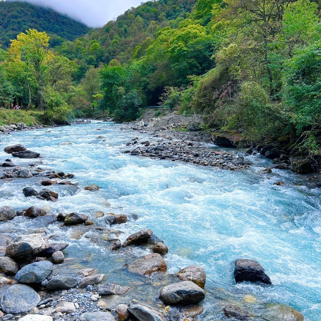 📍喇叭河｜成都周边“新晋避暑圣地”🌲_4_Ting双鱼_来自小红书网页版