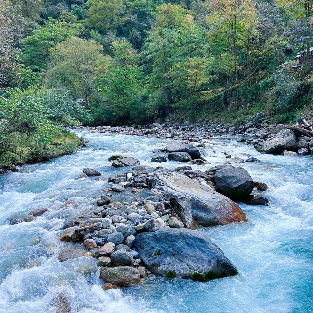 📍喇叭河｜成都周边“新晋避暑圣地”🌲_6_Ting双鱼_来自小红书网页版