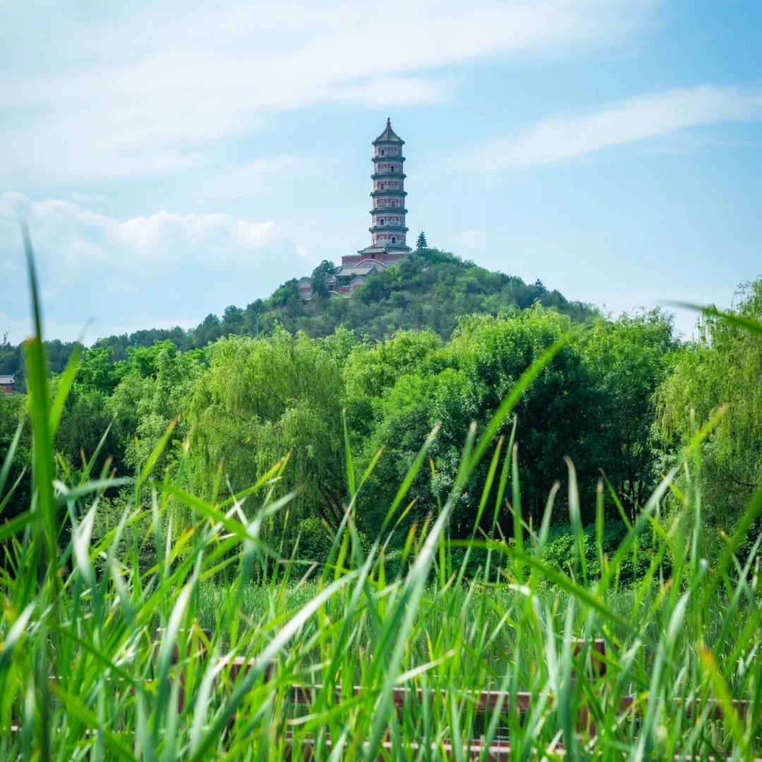 北坞公园｜北京小江南，夏日避暑胜地👍_9_小🐑爱溜达～_来自小红书网页版