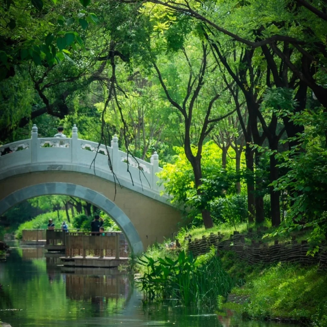 北坞公园｜北京小江南，夏日避暑胜地👍_3_小🐑爱溜达～_来自小红书网页版