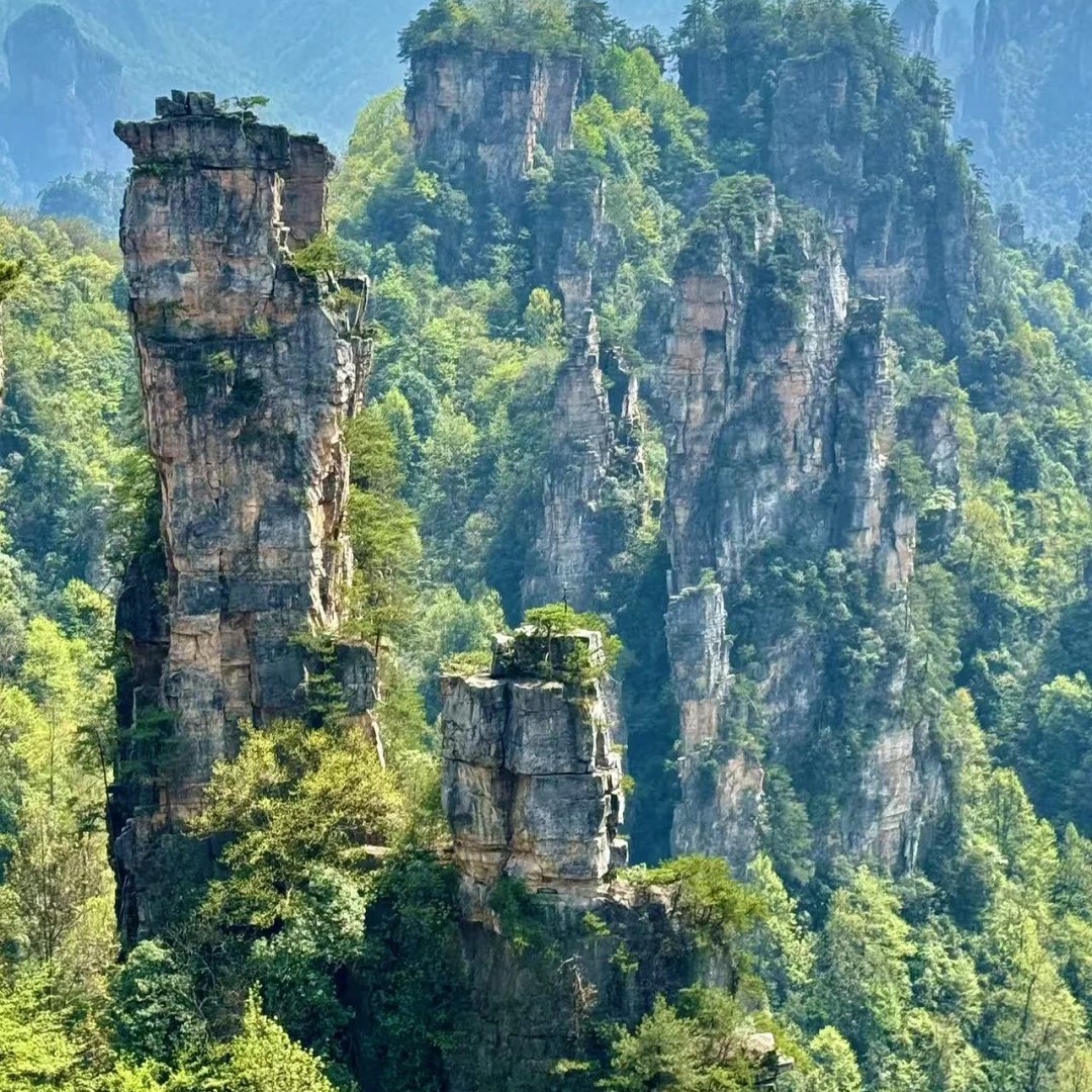 🌿闯入阿凡达星球！打卡张家界国家森林公园✨_2_耶嘿_来自小红书网页版