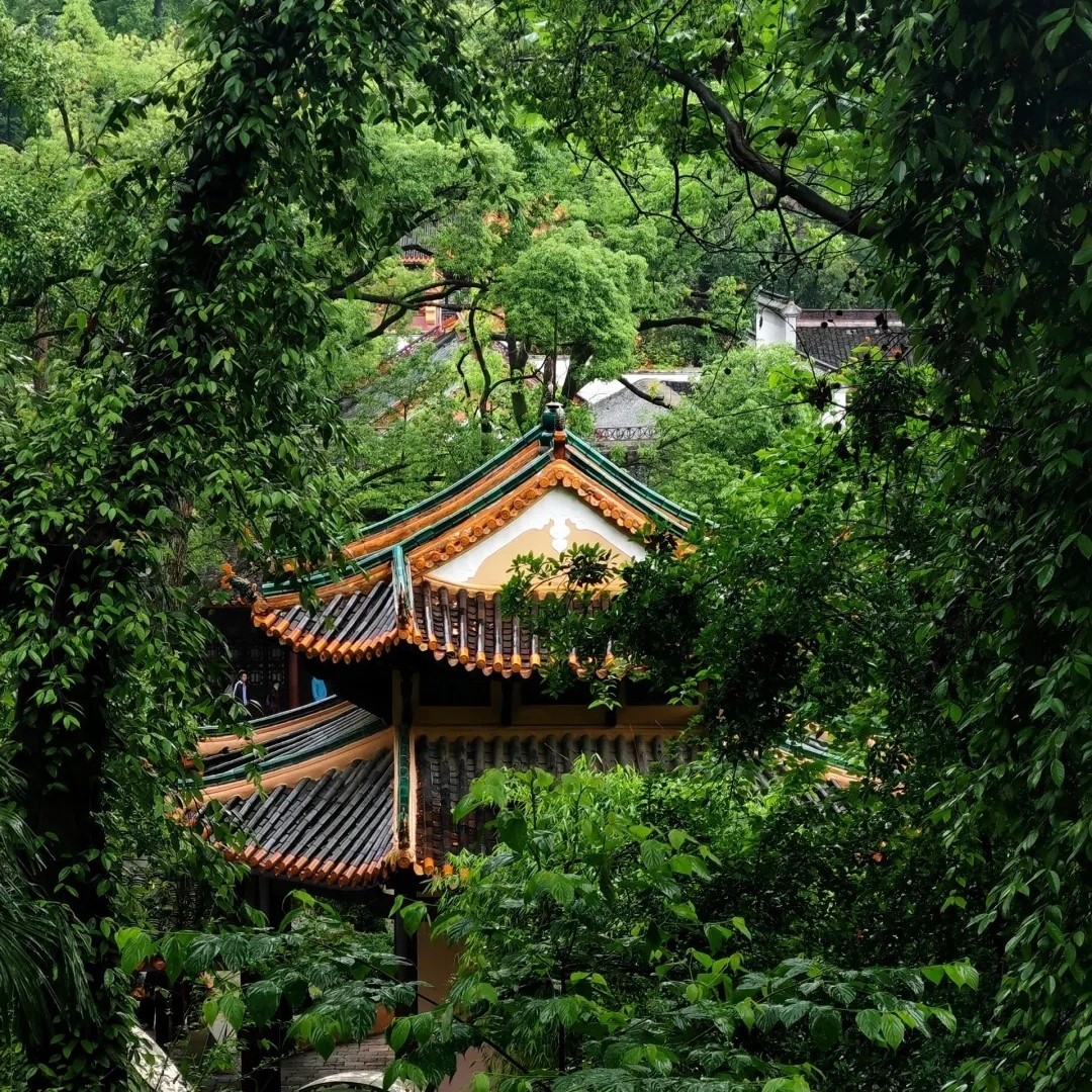 读懂了岳麓山，才真正读懂了长沙_1_云境小院_来自小红书网页版
