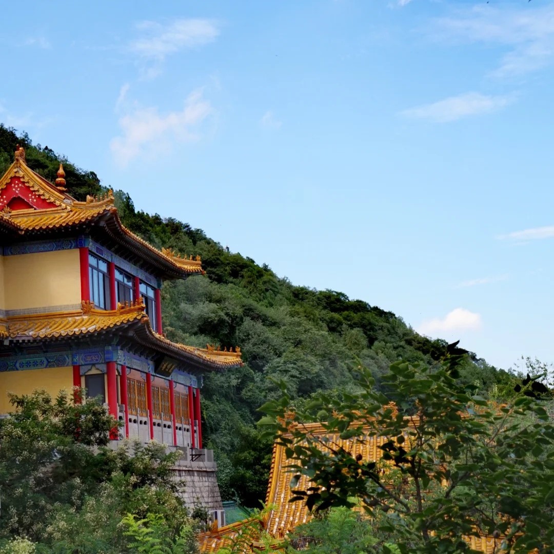 济南千佛山，山不在高，有仙则名！_1_雨霖霖_来自小红书网页版