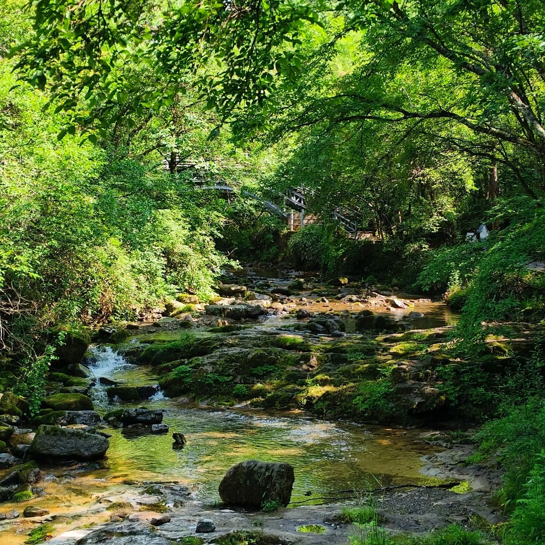 光雾山之景_4_银铃_来自小红书网页版
