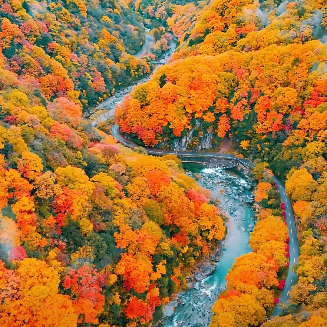 🏞️巴中光雾山探险！两日游全攻略🎒🍁_2_Dream 酱香喷喷_来自小红书网页版