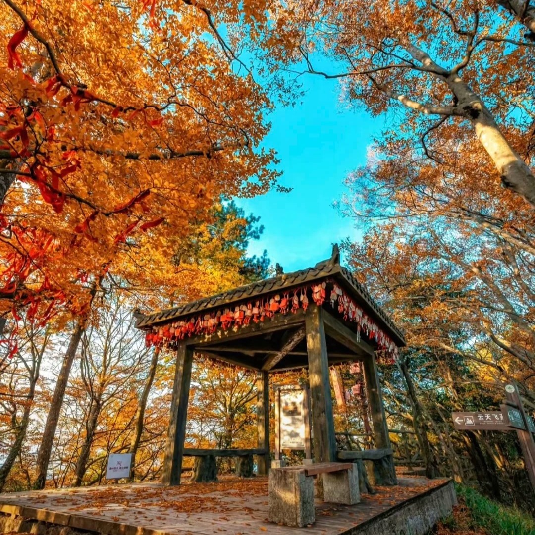 🏞️巴中光雾山探险！两日游全攻略🎒🍁_5_Dream 酱香喷喷_来自小红书网页版
