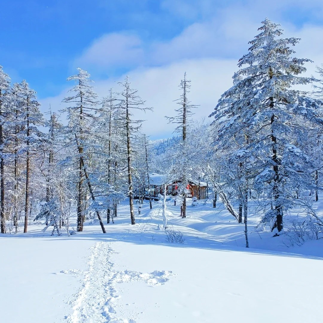 在哈尔滨！最像芬兰的小众赏雪地！_1_小蓝蓝_来自小红书网页版