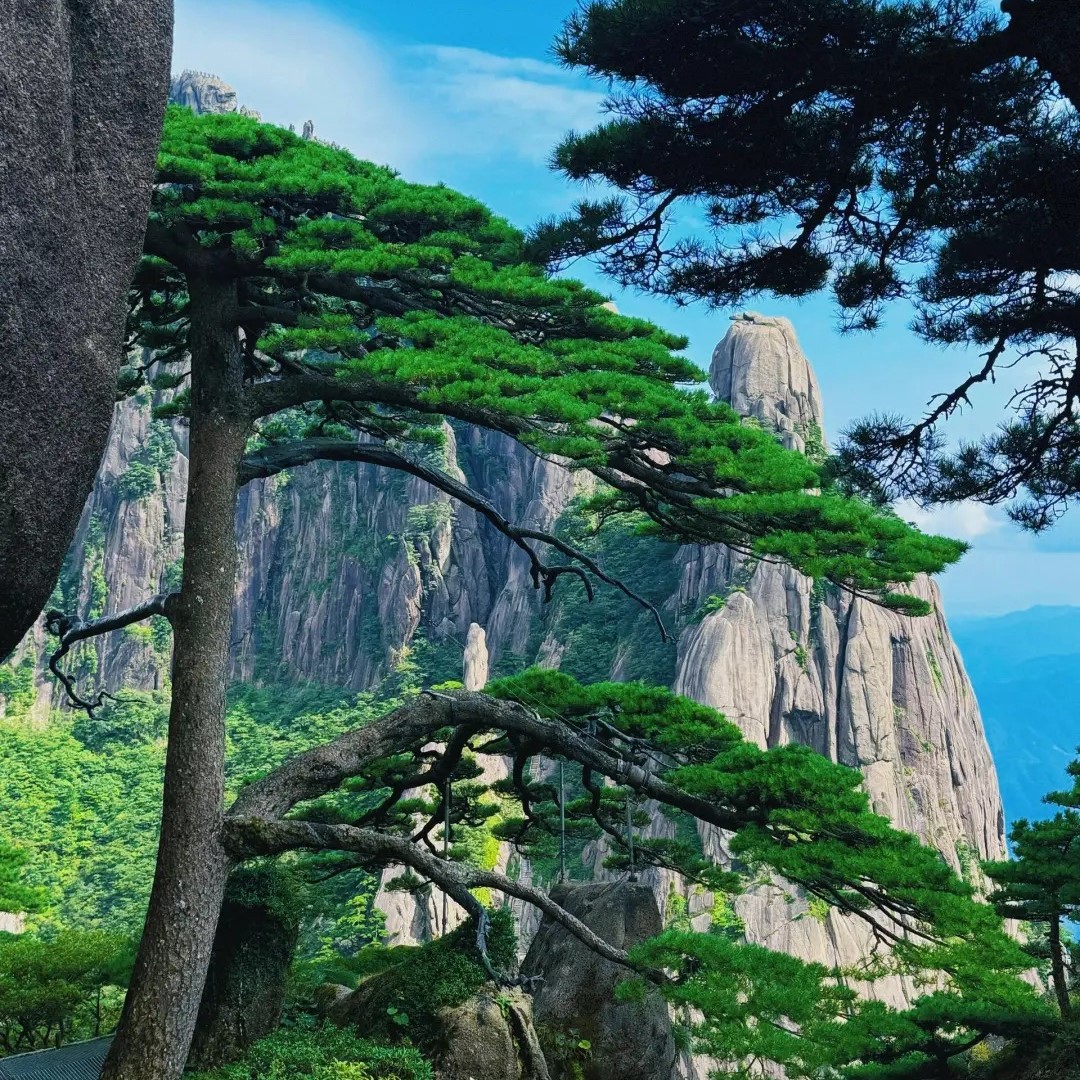 🎉刚从黄山回来，避雷秘籍大公开👇_2_ther的旅行日记_来自小红书网页版
